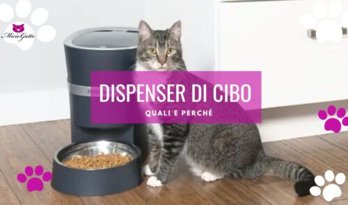 miglior dispenser cibo gatti