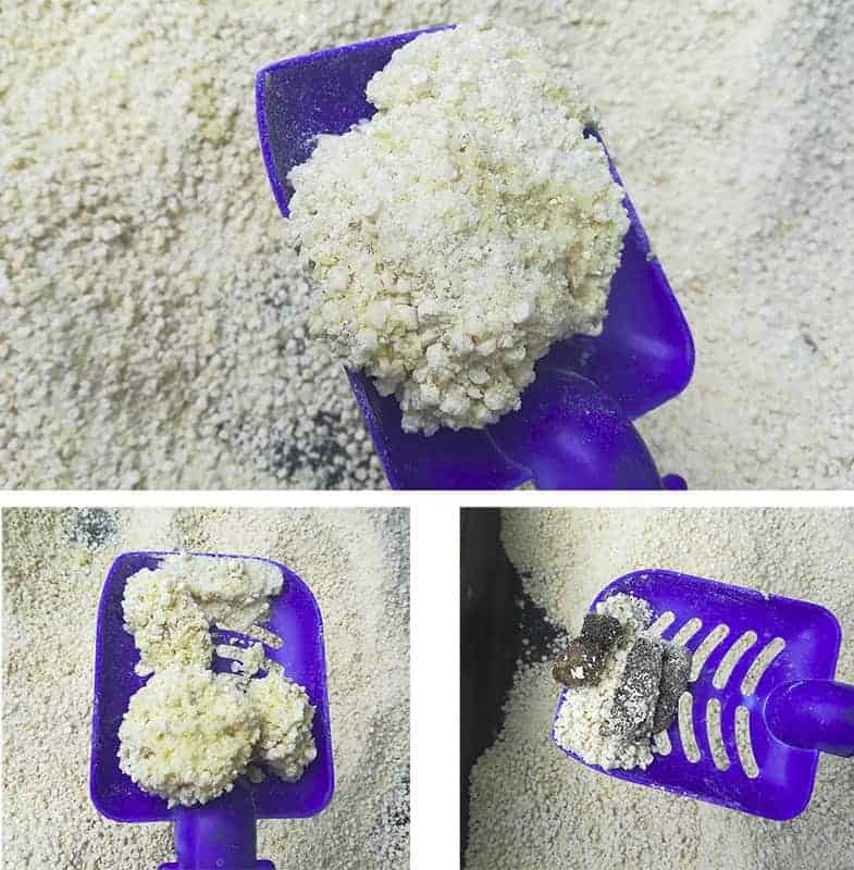 vewegetal agglomerante mais