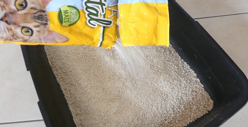 wevegetal caterina rinaldo spa