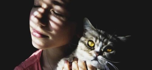 Malattie trasmesse dai gatti le zoonosi gatto uomo