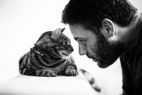 di uomini e gatti sabrina boem