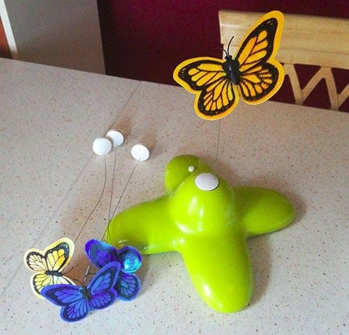 gioco con farfalla gatti