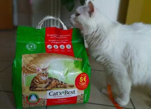 lettiera cats best eco plus opinioni
