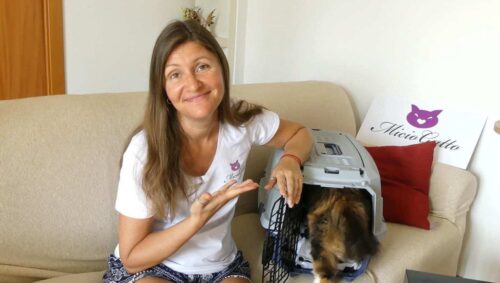 recensione trasportino per gatti Amazon Basics