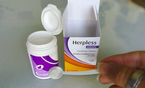 Herpless L-Lisina come integratore nel gatto