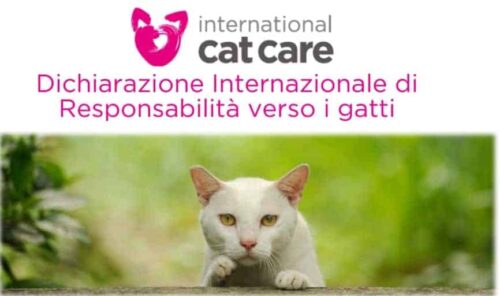 dichiarazione internazionale di responsabilita verso i gatti