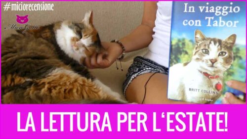 in viaggio con Tabor recensione libro gatto