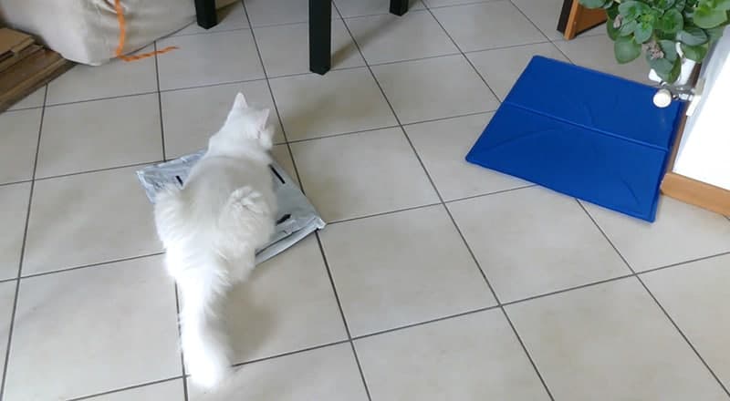 tappetino refrigerante animali