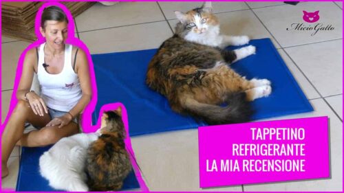 tappetino refrigerante gatti recensione come funziona - fb