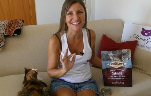 carnilove gatto crocchette umido recensione