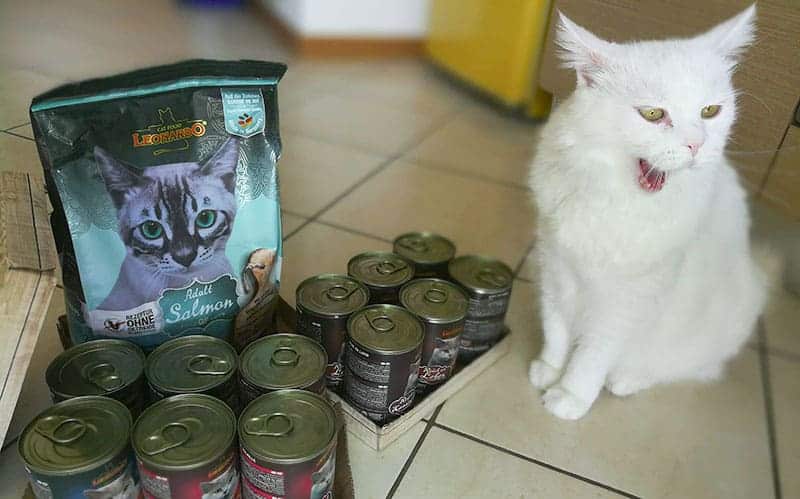 leonardo cat food