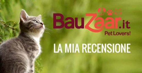 Pet Shop online vi presento Bauzaar