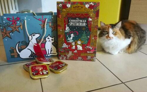 calendario avvento 2018 gatti lilys kitchen