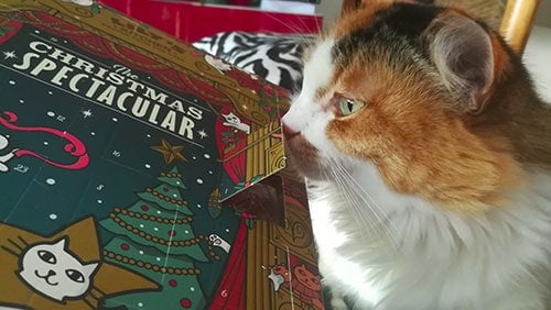 calendario avvento lily s kitchen