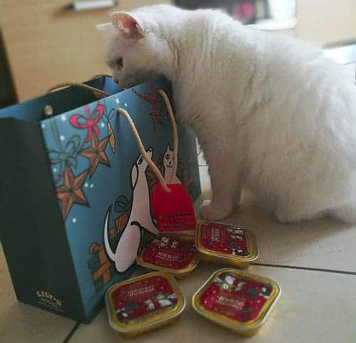 ricetta natalizia lily s kitchen 2018