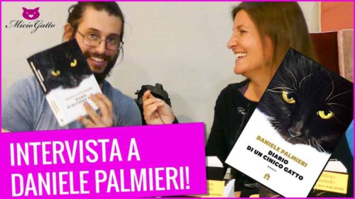 diario di un cinico gatto daniele palmieri recensione libro miciogatto