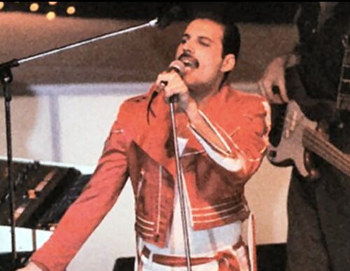 quanti gatti aveva Freddy mercury