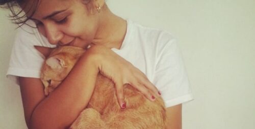 Come i gatti dimostrano affetto ti scelgono e come ricambiarli