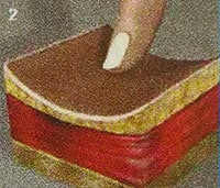 Peso forma gatto adulto