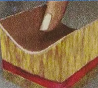 Peso ideale gatto adulto