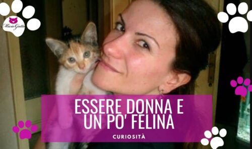 Costanza De Palma donna gatta donna felina