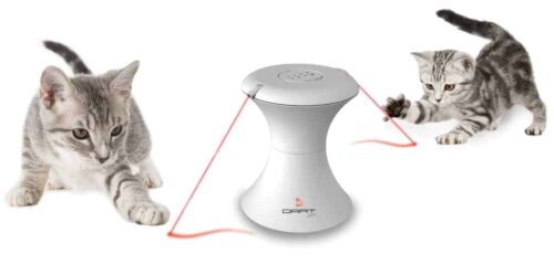 Laser per gatti gioco o dannoso