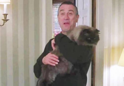 sfigatto ti presento i miei film