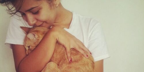 Eutanasia gatto quando farla, se il gatto soffre e il costo