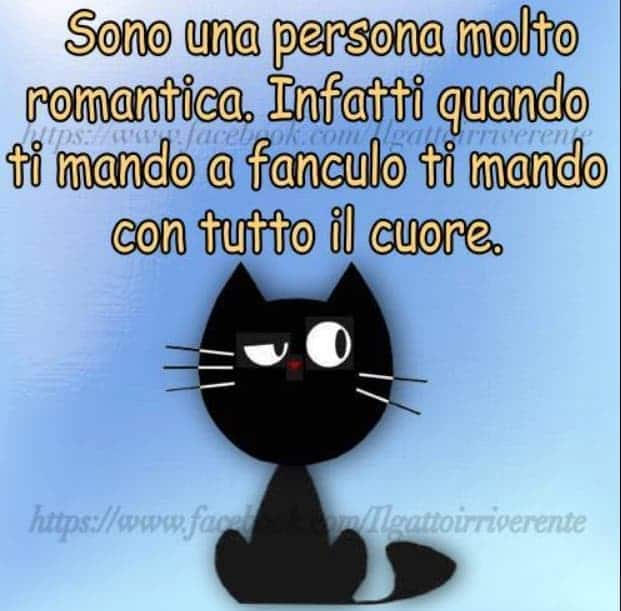 frasi divertenti gatti