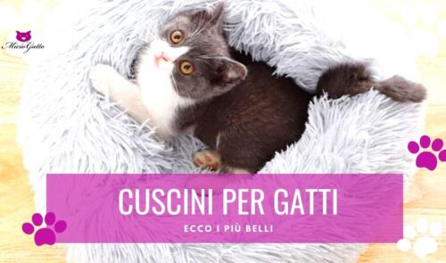 Cuscini per gatto, ecco i più belli