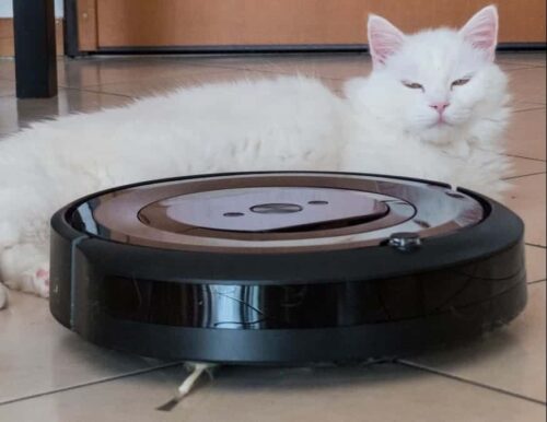 iRobot Roomba aspirapolvere quali ho provato