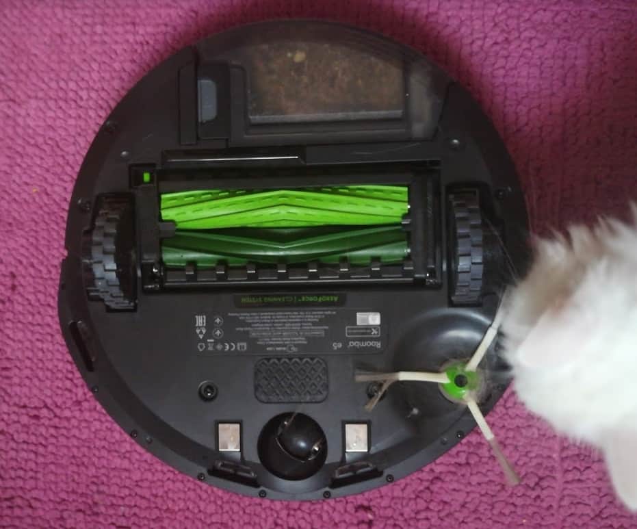 roomba per animali