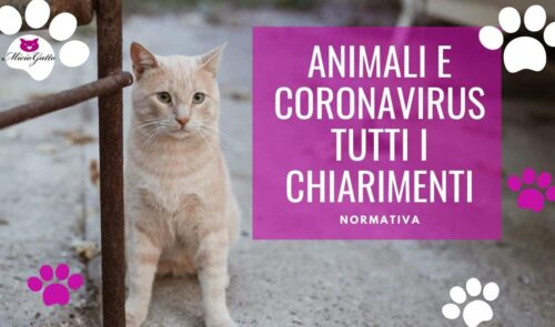 animali coronavirus enpa leggi normative vademecum