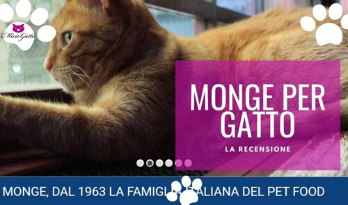 monge gatto crocchette umido opinioni recensione