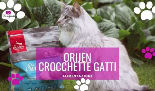 orijen crocchette gatti opinioni recensione