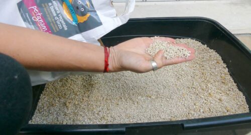 lettiera in orzo biodegradabile petgnam