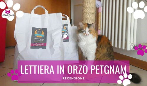 recensione lettiera in orzo petgnam