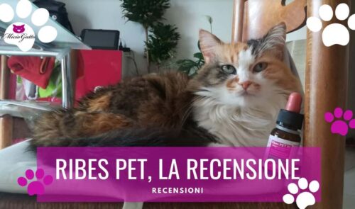 ribes pet gocce gatto opinioni recensione