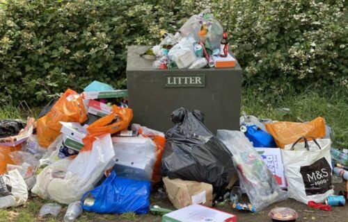 dove si butta la lettiera del gatto