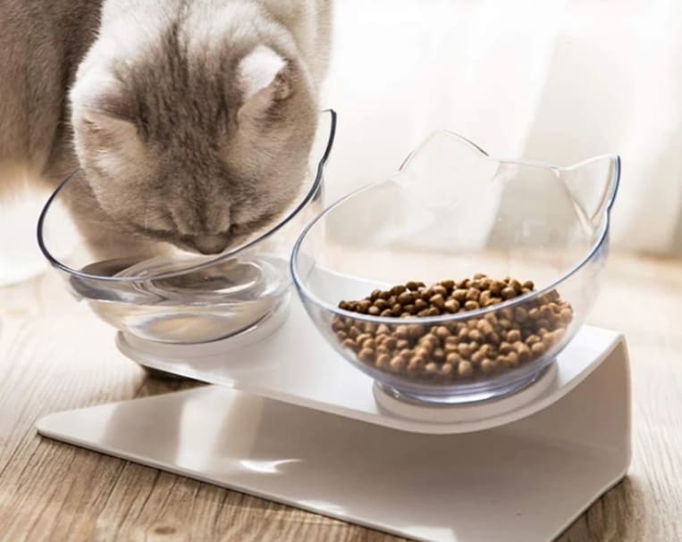 ciotola gatto rialzata