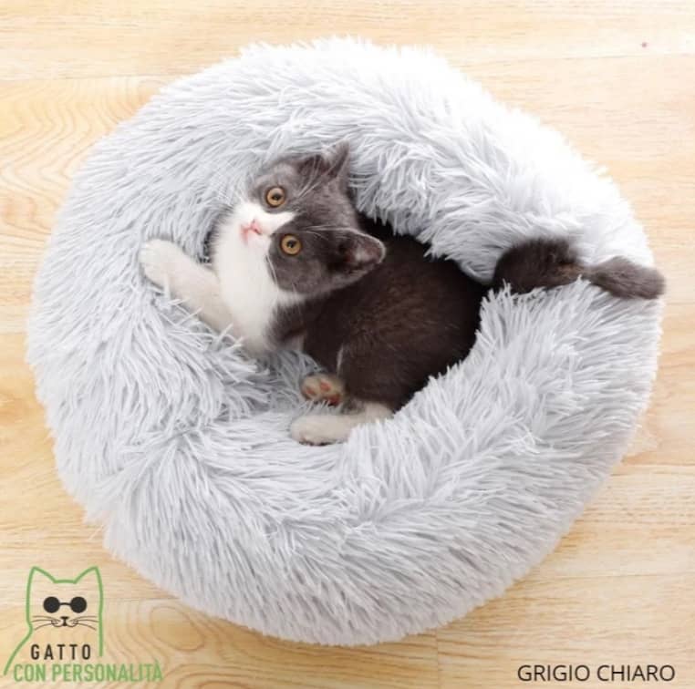 cuscino per gatti