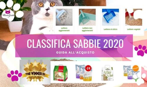 sabbia gatto 2020 classifica migliore