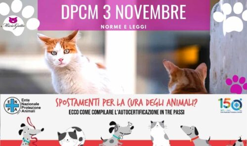 animali e dpcm 3 novembre enpa