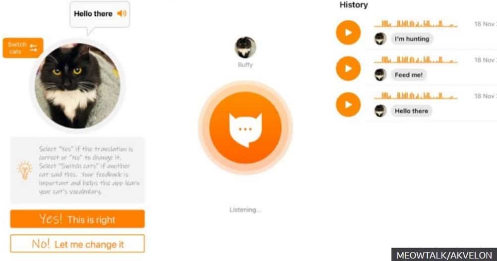 interfaccia dell'app MeowTalk