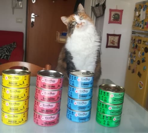 umido per gatti gusti firstmate