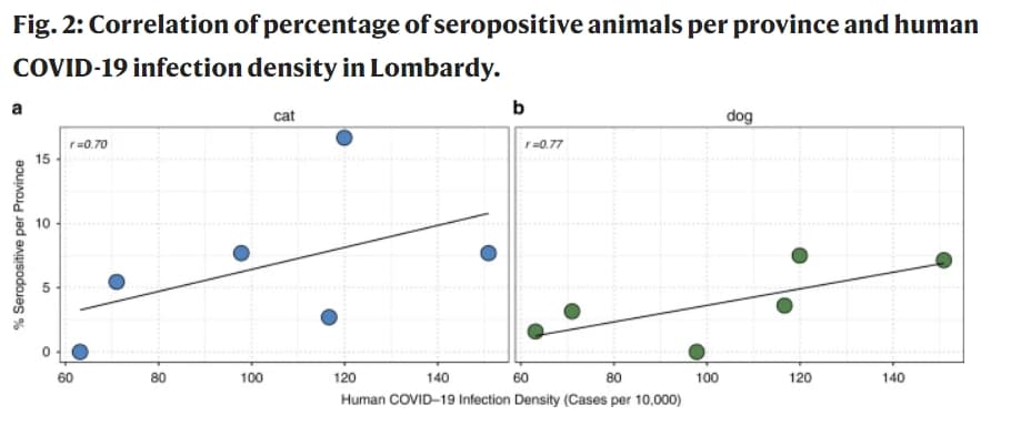 Figura 2 studio covid cani e gatti