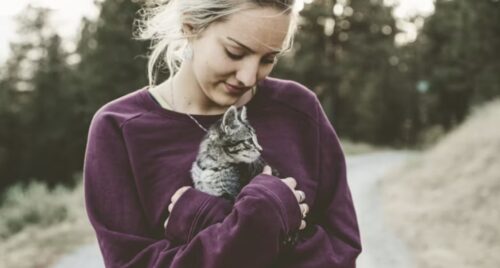 a chi si affeziona il gatto