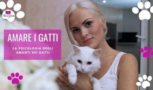 amare i gatti psicologia donne amanti dei gatti