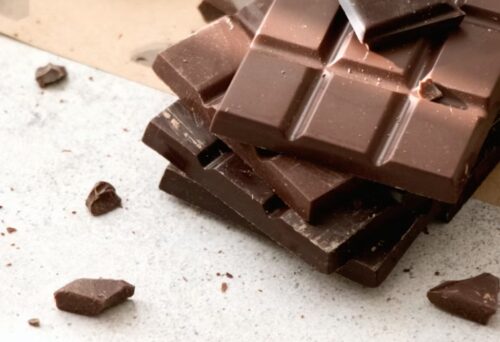 fa male il cioccolato ai gatti