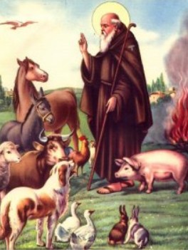 San antonio abate patrono degli animali domestici